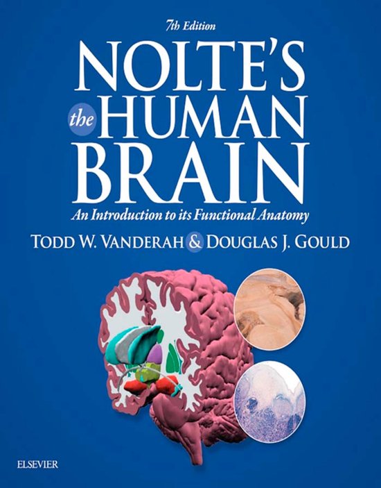 Nolte's The Human Brain E-Book - cover