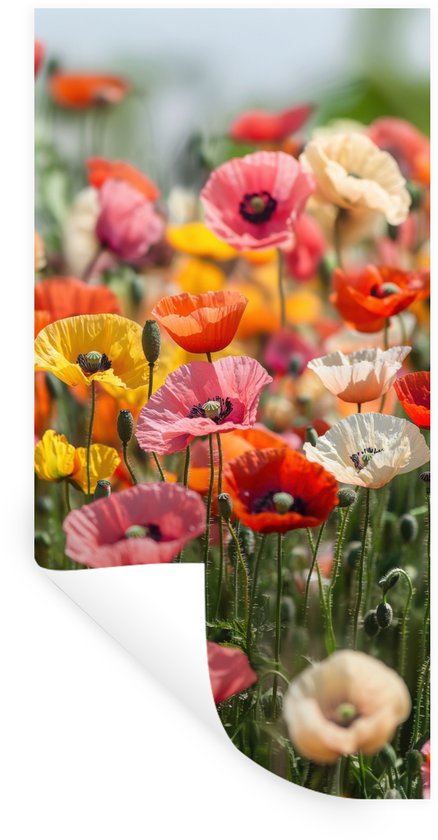 Muurstickers - Sticker Folie - Bloemenveld - Klaprozen - Kleurrijk - 40x80 cm - Plakfolie - Muurstickers Kinderkamer - Zelfklevend Behang - Zelfklevend behangpapier - Stickerfolie