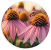 Bloemen, Roze