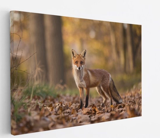 Saammp Canvas Schilderij - Vos in het bos - Natuur - Dieren - 100x75 - Foto op canvas - Wanddecoratie - Muurdecoratie Woonkamer - Slaapkamer decoratie - Canvas Print