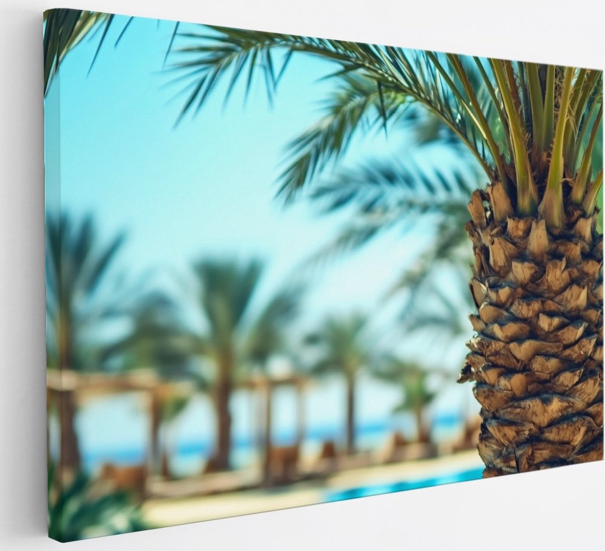 Saammp Canvas Schilderij - Natuur - Palmboom - landschap - 30x20 - Foto op canvas - Wanddecoratie - Muurdecoratie Woonkamer - Slaapkamer decoratie - Canvas Print Multicolor