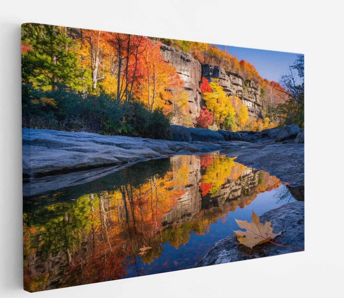 Saammp Canvas Schilderij - Blad op steen - Landschap - Natuur - 100x75 - Foto op canvas - Wanddecoratie - Muurdecoratie Woonkamer - Slaapkamer decoratie - Canvas Print Multicolor
