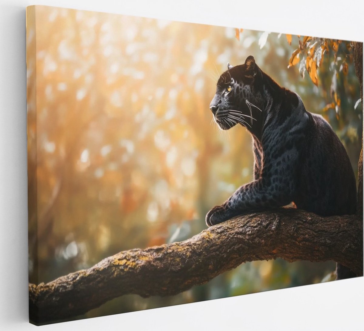 Saammp Canvas Schilderij - zwarte panter op boom - Natuur - Dieren - 30x20 - Foto op canvas - Wanddecoratie - Muurdecoratie Woonkamer - Slaapkamer decoratie - Canvas Print Multicolor