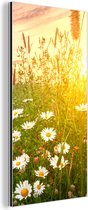 Décoration murale Métal - Peinture Aluminium Industrielle - Fleurs - Marguerite - Nature - Soleil - Horizon - 80x160 cm - Dibond - Photo sur aluminium - Décoration murale industrielle - Pour le salon / chambre