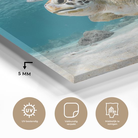 MuchoWow® Glasschilderij 160x120 cm - Schilderij acrylglas - Schildpad - Vis - Zee - Foto op glas - Muurdecoratie woonkamer - Wanddecoratie slaapkamer - Schilderijen