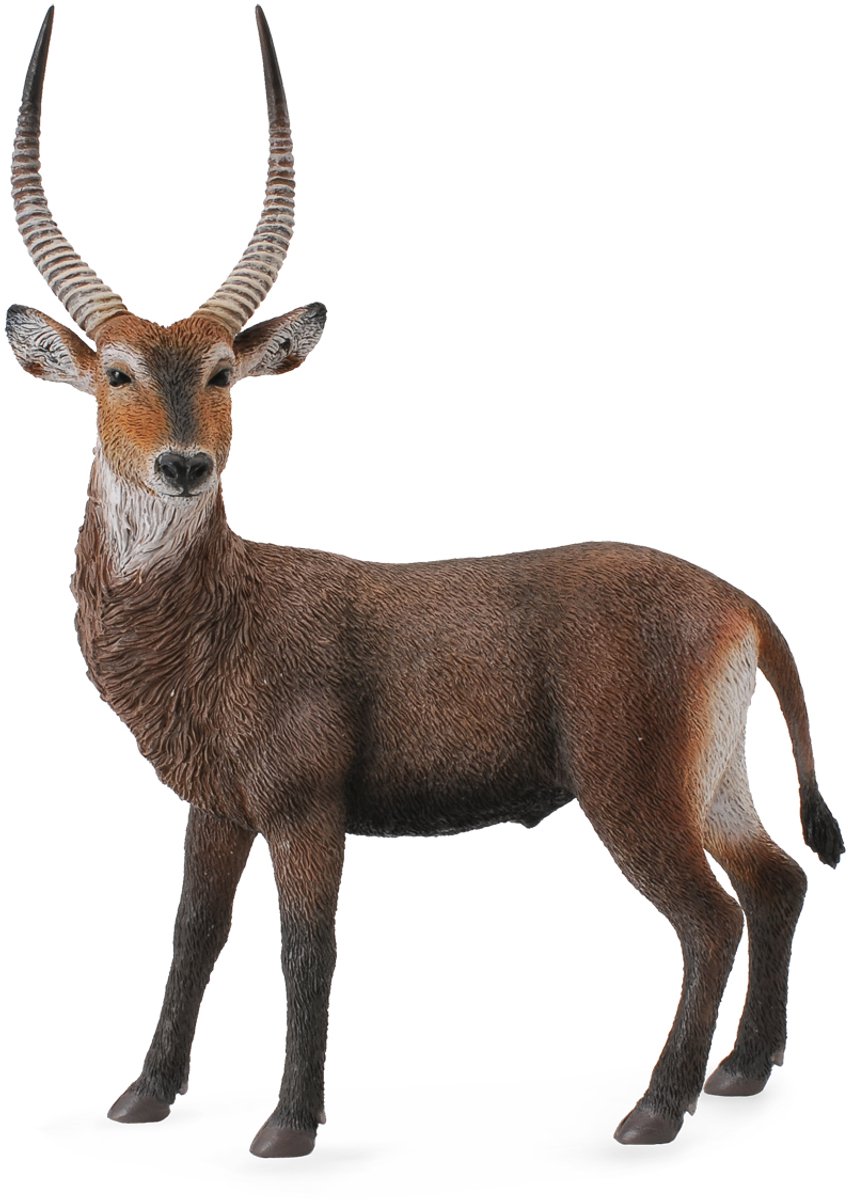 COLLECTA Figurine - Waterbok - (L)
