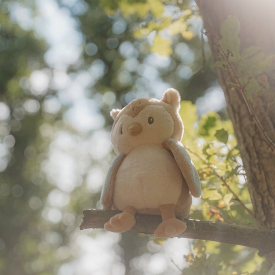 Little Dutch Knuffel Uil - Forest Friends