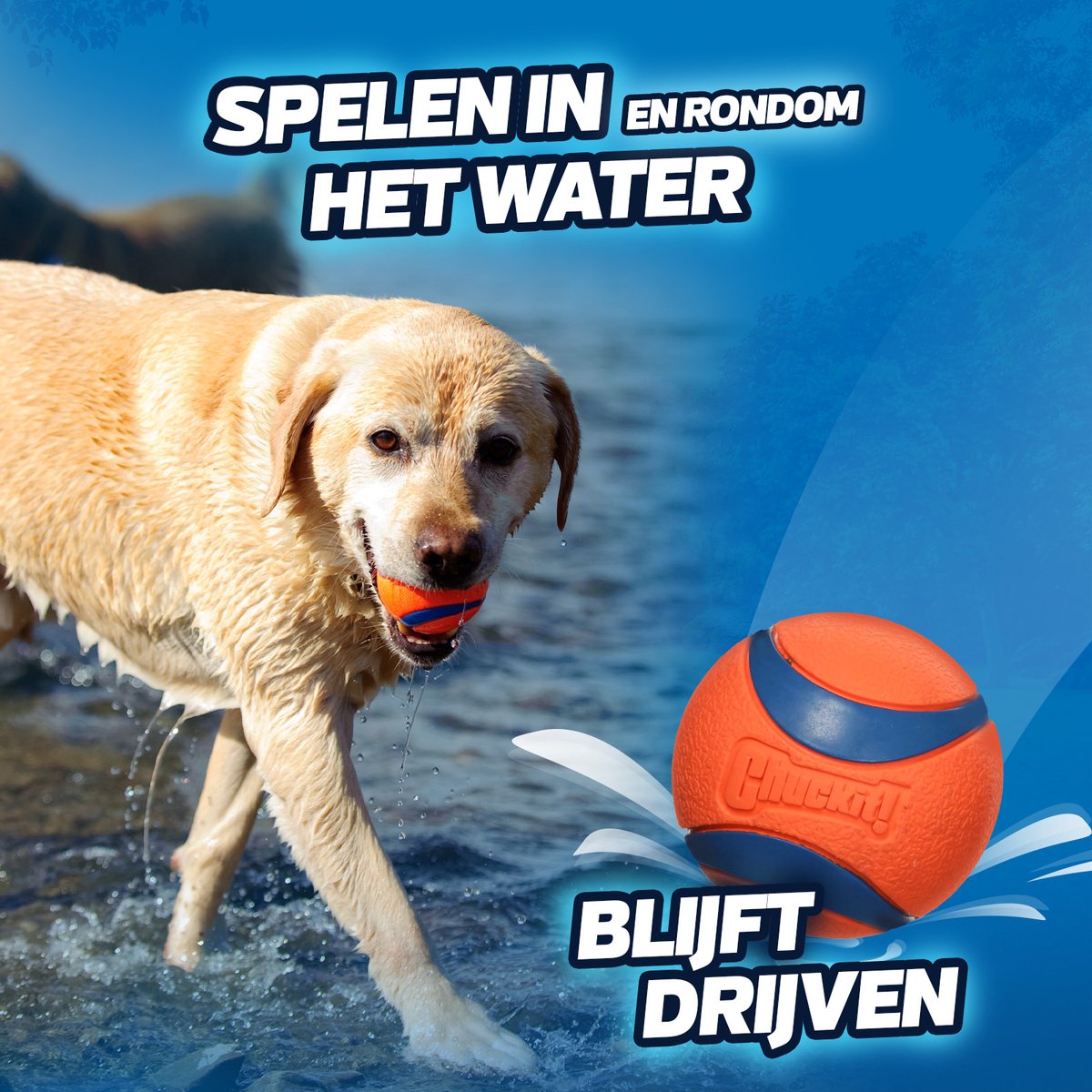 Hofman Animal Care Chuckit! Bucket 8 Ballen M Ø6cm thumbnail 4