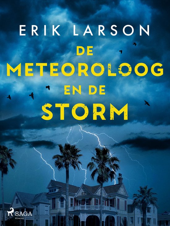 De meteoroloog en de storm - cover