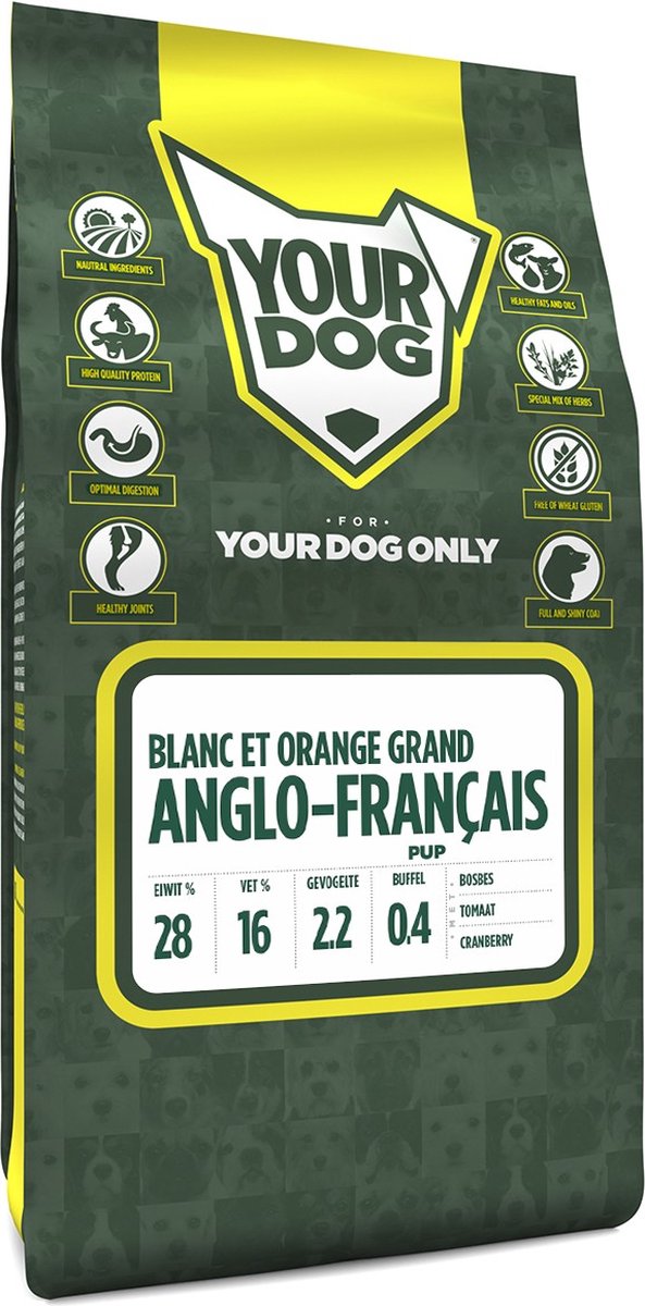 Yourdog grand anglo-francais blanc et orange pup – 3 KG