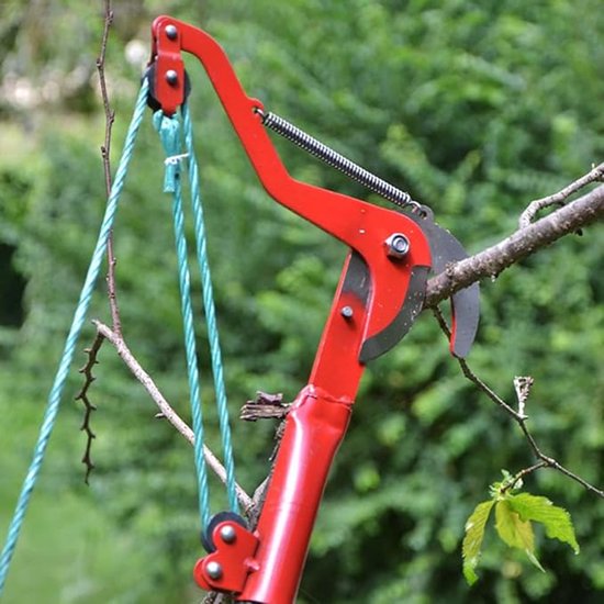 Snoeischaar - Snoeischaar vanuit de lucht - Blad Trimmer - Tuinschaar - Plantenschaar - Hoog koolstofstaal - rood - Met 1,5m touw - Tuinfruitboom takkenschaar van Greenmount — afbeelding 3