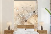 Behang - Fotobehang Paardenbloem - Abstract - Natuur - Beige - Breedte 180 cm x hoogte 280 cm