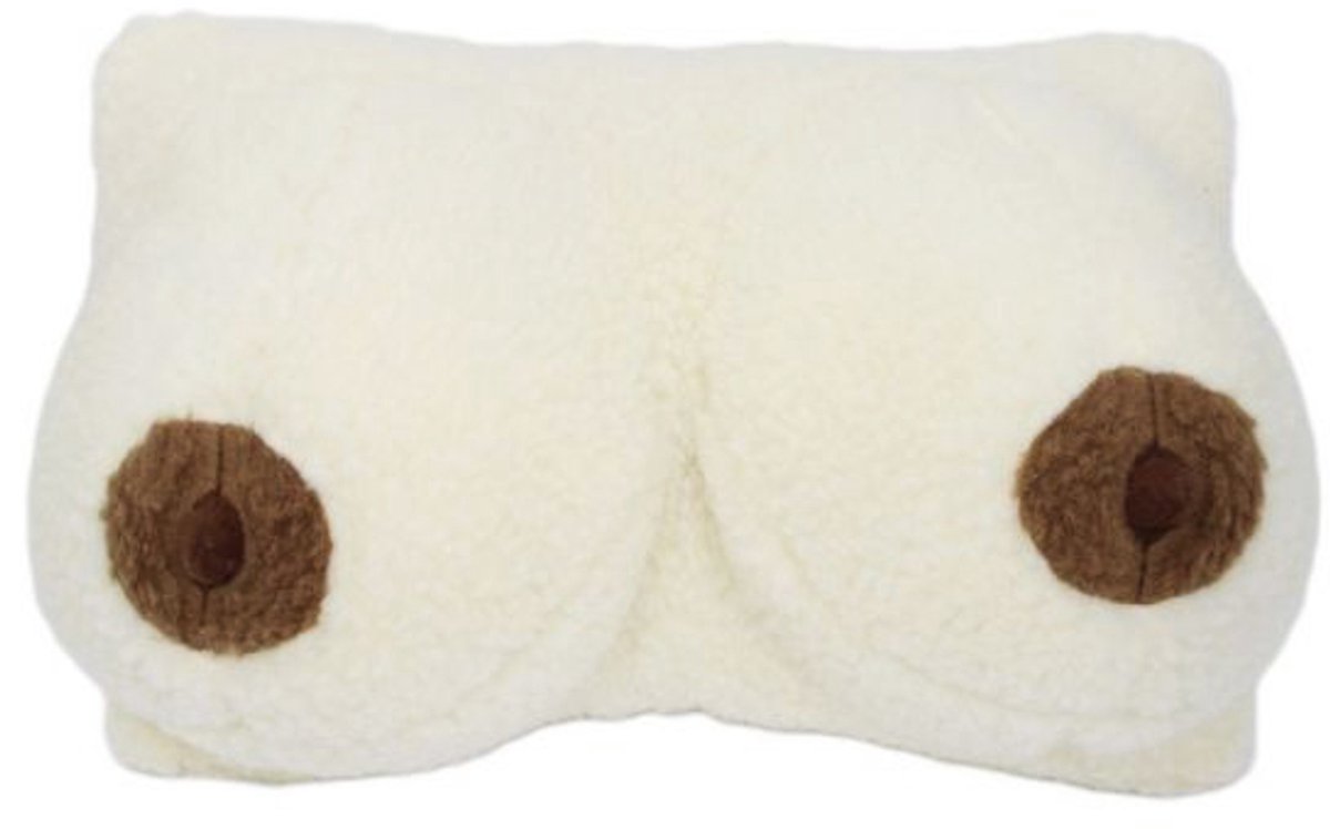 Kussen Borsten Cadeau Grappig Kussen 100% Merino Wol Fun artikel Vrijgezellenfeest Verjaardag – 42x22cm