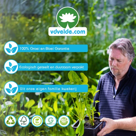 Man met een waterplant in pot, met logo "vdvelde.com" en garanties "100% Groei en Bloei Garantie", "Ecologisch geteeld en duurzaam verpakt".