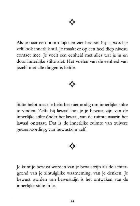 Pagina 14 van een boek met tekst over stilte en bewustzijn. De tekst is zwart en staat op een witte achtergrond.