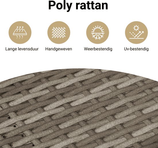 vidaXL-11-delige-Loungeset-met-kussens-poly-rattan-grijs