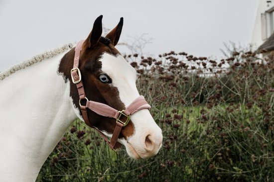 Kentucky Horsewear - Velvet halster oud roze pony Kentucky Horsewear - Velvet halster oud roze pony
