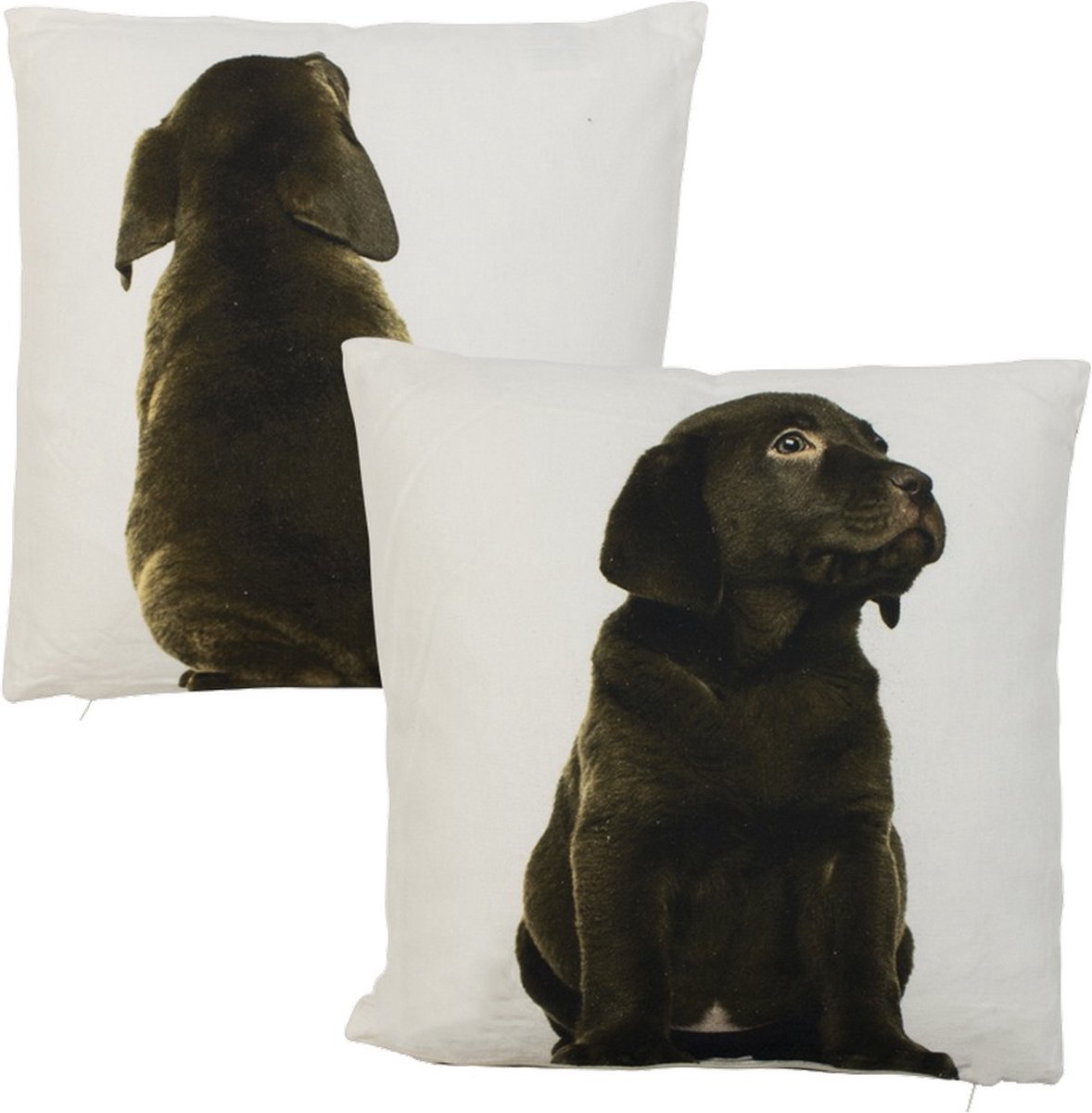 canvas kussen labrador bruin dubbelzijdig 33x33cm