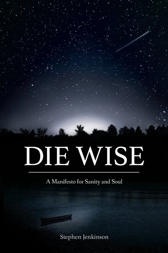 Die Wise - cover