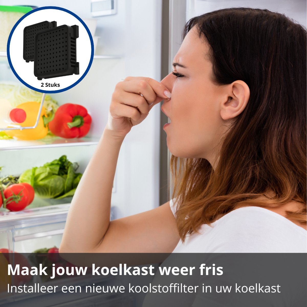 Koolstoffilter voor koelkast/vriezer voor Koelkasten en vriezers - 2081625036 - AEG