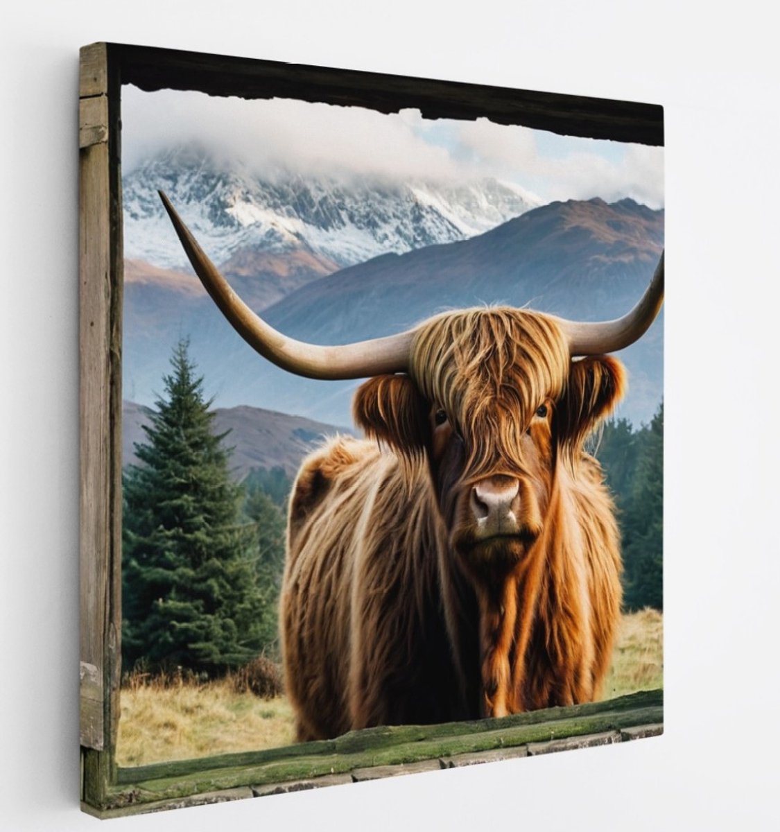 Saammp Canvas Schilderij - Schotse hooglander Koe - Doorkijk - Dieren - 40x40 - Foto op canvas - Wanddecoratie - Muurdecoratie Woonkamer - Slaapkamer decoratie - Canvas Print Multicolor