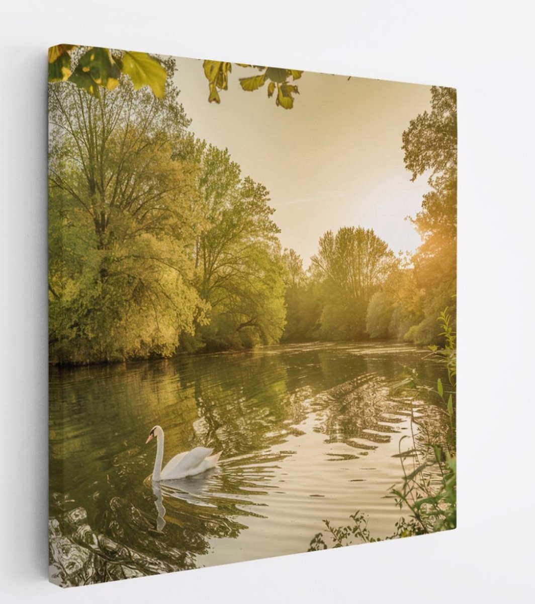 Saammp Canvas Schilderij - Zwaan in zonsondergang - Natuur - Dieren - 30x30 - Foto op canvas - Wanddecoratie - Muurdecoratie Woonkamer - Slaapkamer decoratie - Canvas Print Multicolor