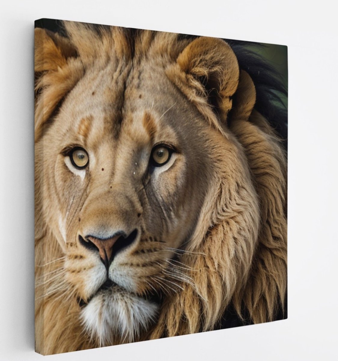 Saammp Canvas Schilderij - Leeuw - Portret - Dieren - 30x30 - Foto op canvas - Wanddecoratie - Muurdecoratie Woonkamer - Slaapkamer decoratie - Canvas Print Multicolor