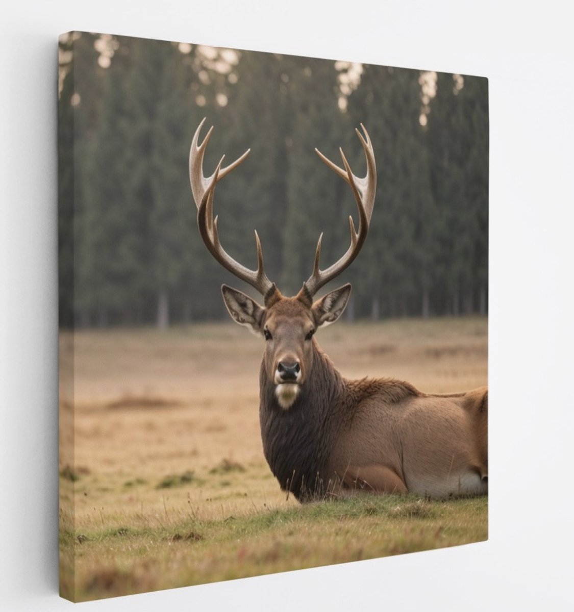 Saammp Canvas Schilderij - Liggend Hert in de wei - Natuur - Dieren - 30x30 - Foto op canvas - Wanddecoratie - Muurdecoratie Woonkamer - Slaapkamer decoratie - Canvas Print Multicolor