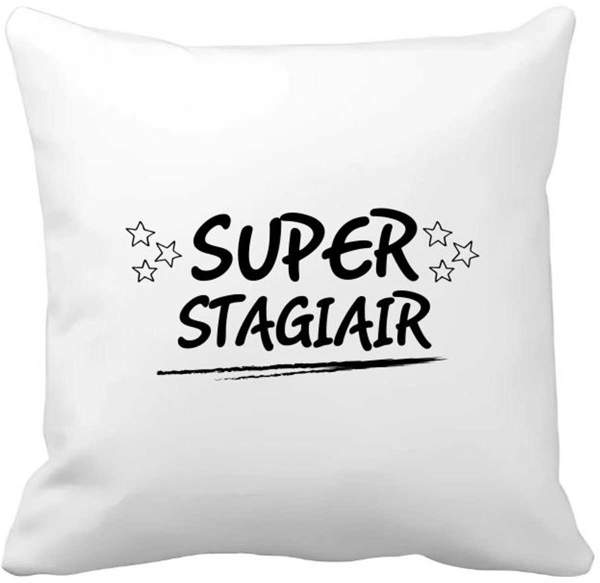 Akyol super stagiair Kussen hoes - Stagiair - beste stagiair - werk - afscheidscadeau - verjaardagscadeau - kado - 40 bij 40 cm Multicolor