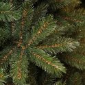 Een close-up van dichte, groene kerstboomtakken met fijne witte puntjes op de naalden.