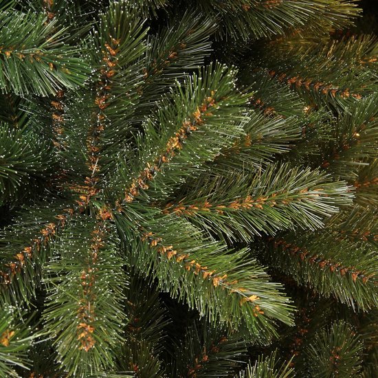 Een close-up van dichte, groene kerstboomtakken met fijne witte puntjes op de naalden.
