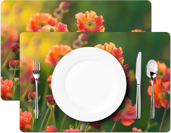 Placemats - 6 stuks - 45x30 cm - Placemat kunststof - Bloemenveld - Zonnestralen - Oranje - Borden onderleggers - Decoratie voor op tafel - Keuken tafeldecoratie accessoires - Vinyl onderlegger - Tafelversiering