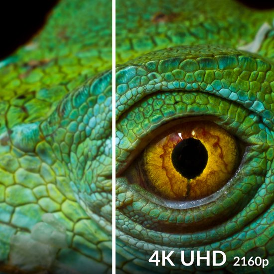 Close-up van een groene leguaan. Rechts is het oog te zien met gele iris en zwarte pupil. Tekst '4K UHD 2160p'.