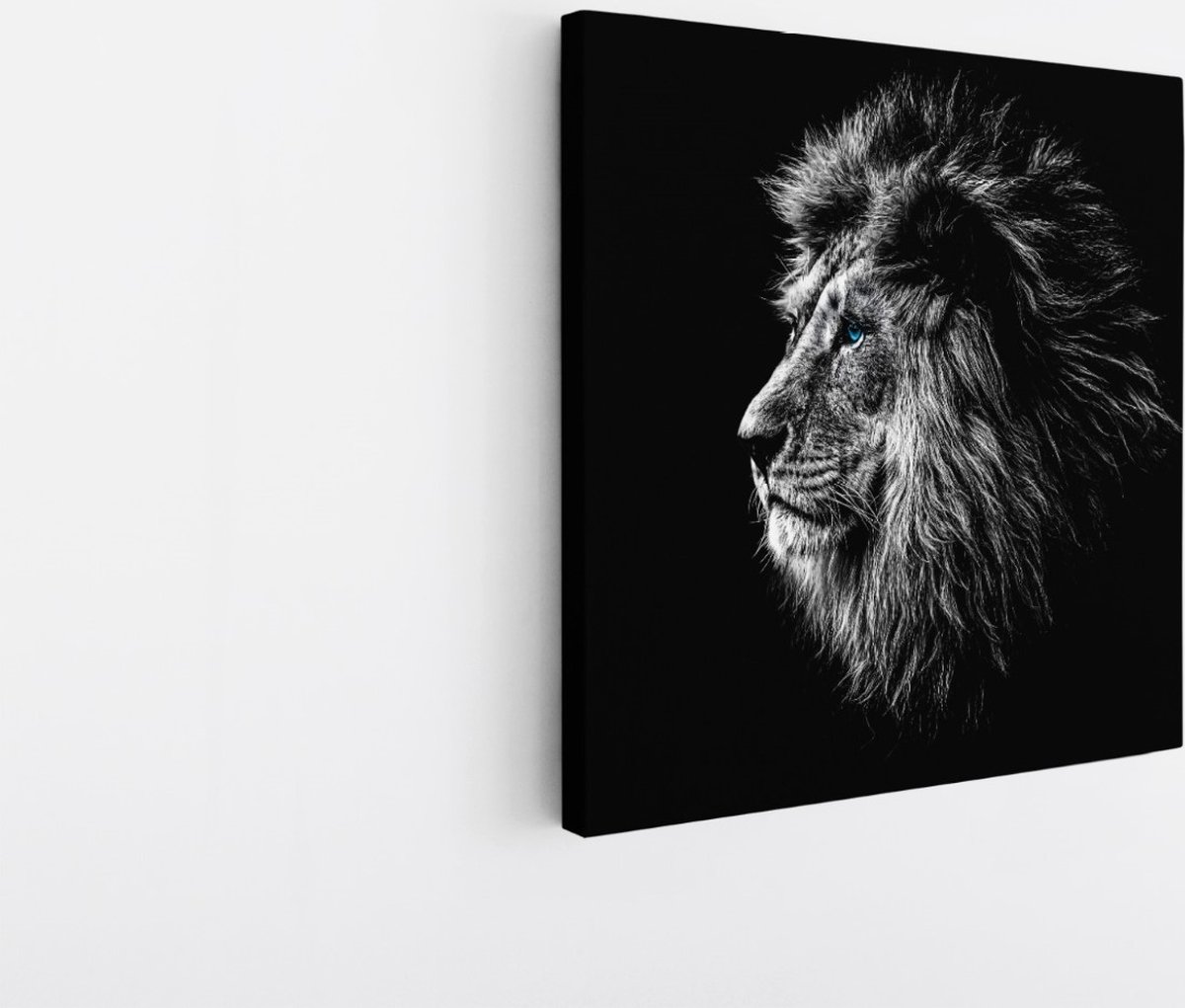 Saammp Canvas Schilderij - Portret van een Leeuw - Natuur - Dieren - 40x40 - Foto op canvas - Wanddecoratie - Muurdecoratie Woonkamer - Slaapkamer decoratie - Canvas Print Multicolor