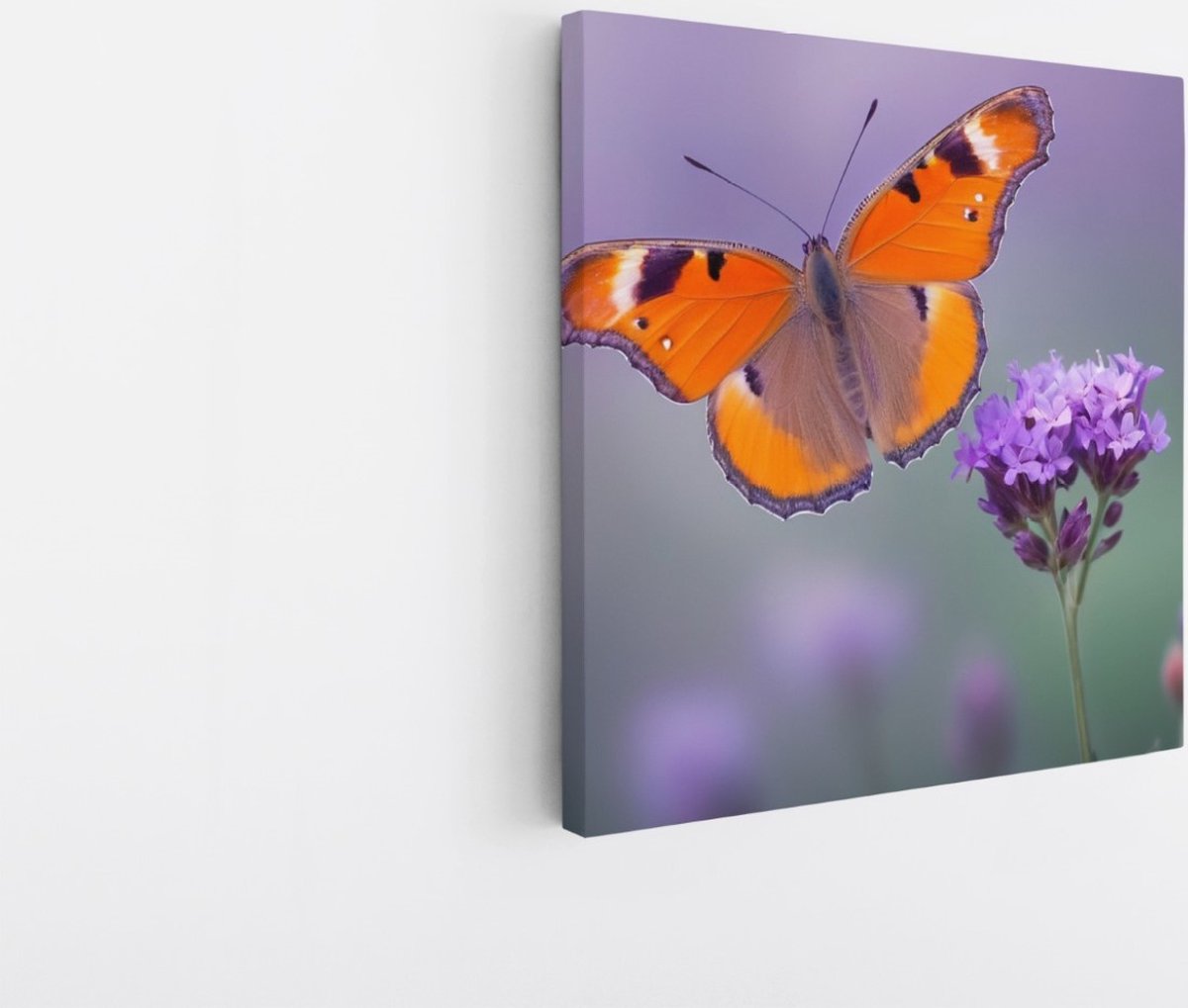 Saammp Canvas Schilderij -Vlinder bij paarse bloem - Dieren - Abstract - 60x60 - Foto op canvas - Wanddecoratie - muurdecoratie Woonkamer - Slaapkamer decoratie - Canvas Print Multicolor
