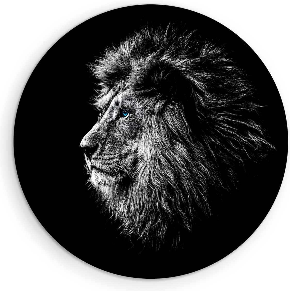 Saammp Forex Muurcirkel - Portret van een Leeuw - Natuur - Dieren - Ø 30 - Wandcirkel - Wanddecoratie Cirkel - Muurdecoratie Woonkamer - Slaapkamer decoratie - Rond Schilderij