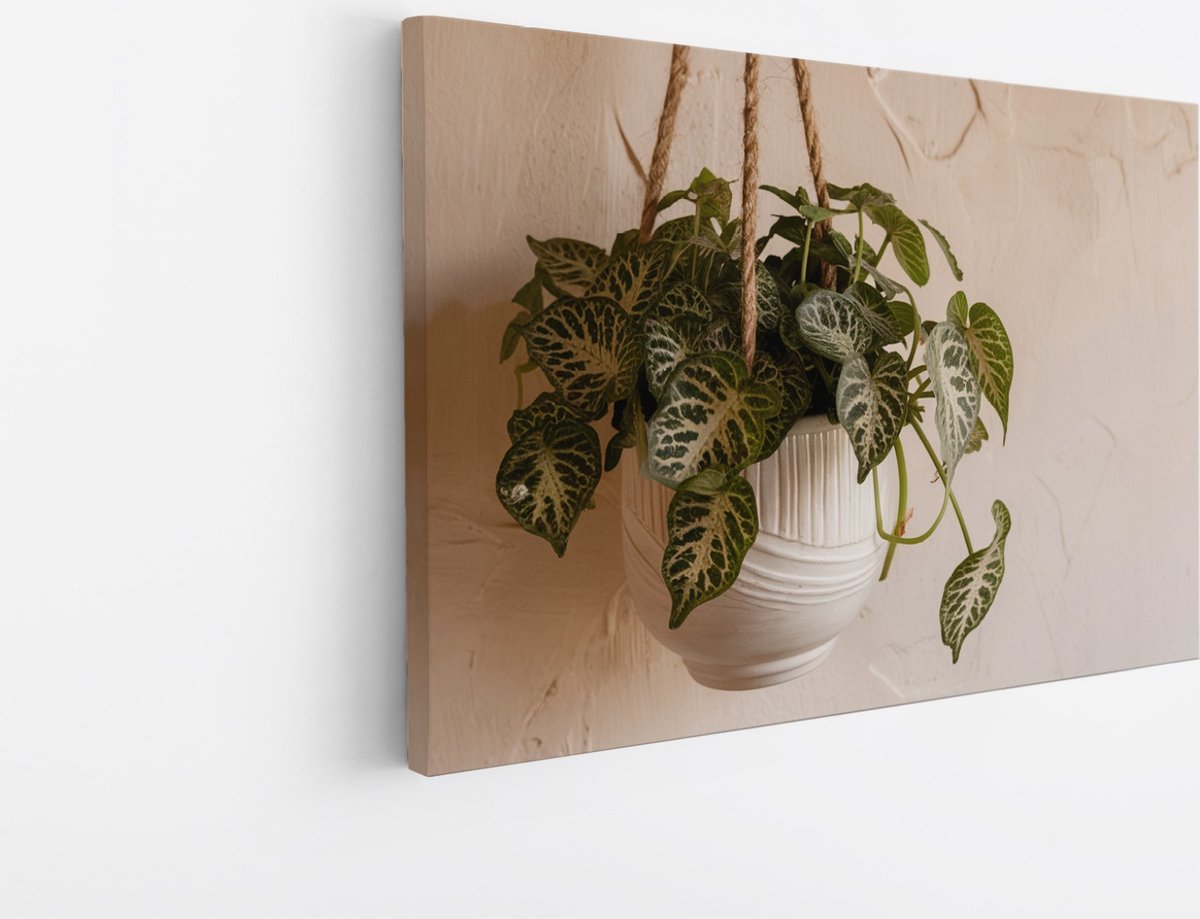 Saammp Canvas Schilderij - Hangende plant - Touw - Bloemen - Abstract - 60x40 - Foto op canvas - Wanddecoratie - Muurdecoratie Woonkamer - Kantoor Decoratie Multicolor