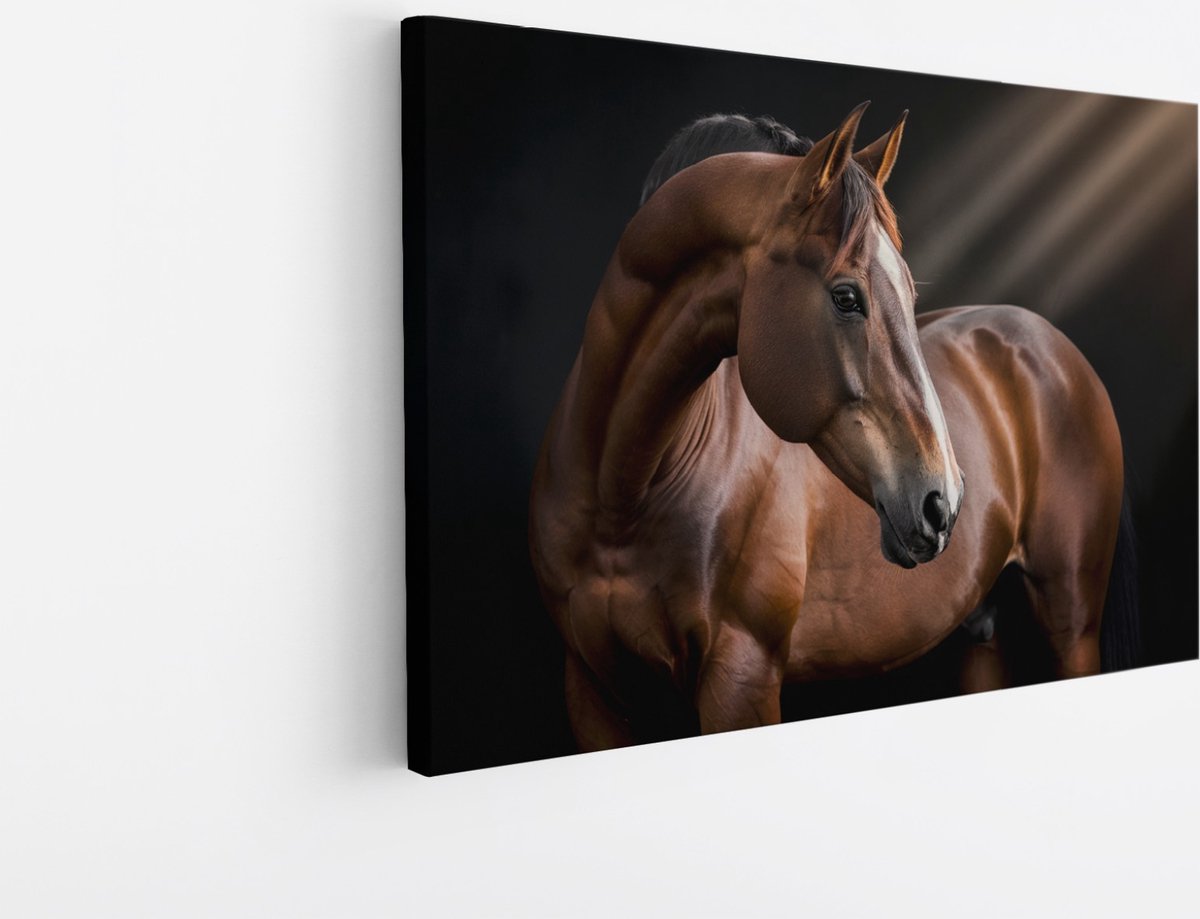 Saammp Canvas Schilderij - Paard in zonlicht - Dieren - Natuur - 120x80 - Foto op canvas - Wanddecoratie - muurdecoratie Woonkamer - Slaapkamer decoratie - Canvas Print Multicolor