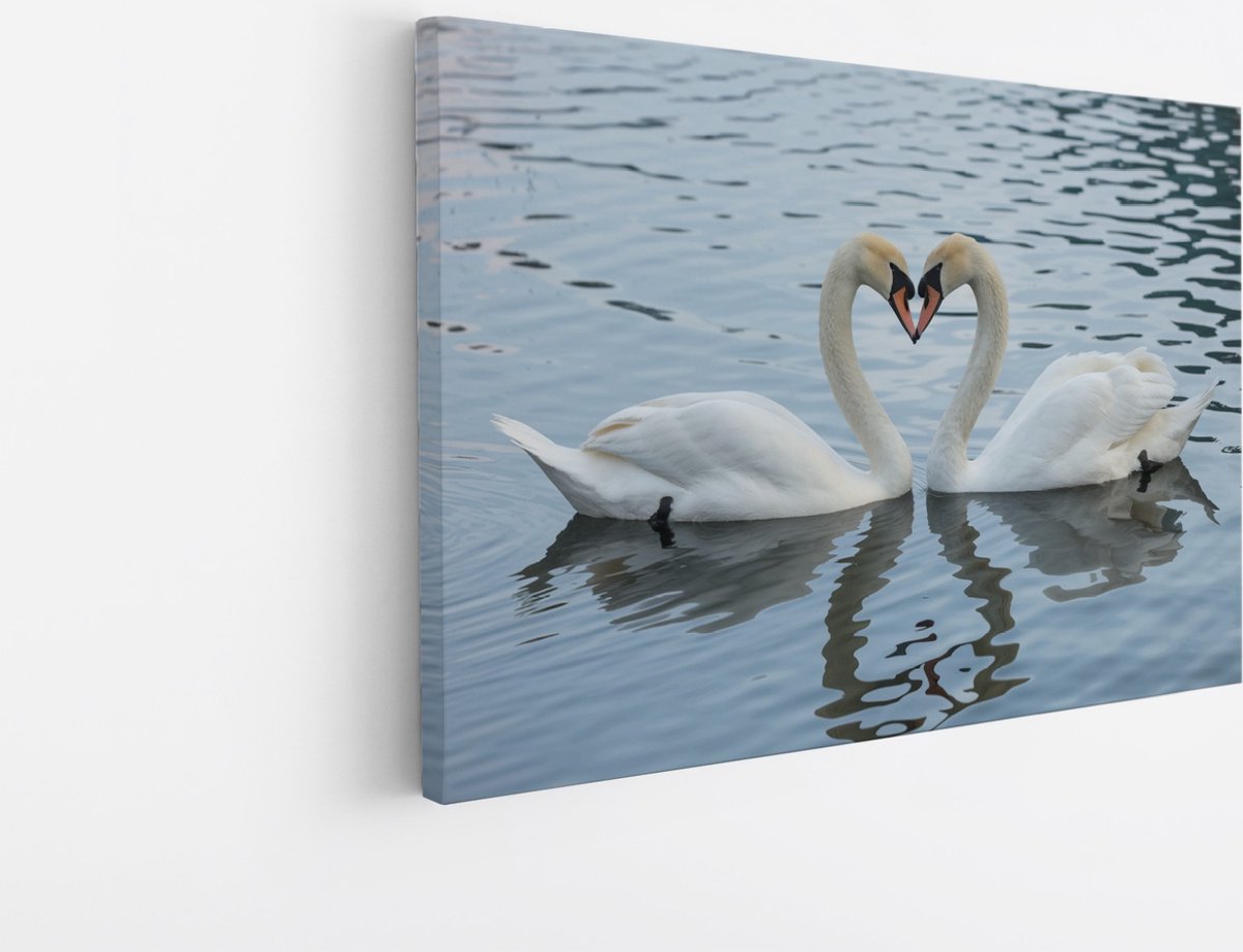 Saammp Canvas Schilderij - 2 Zwanen - Hartvorm - Natuur - Dieren - 70x50 - Foto op canvas - Wanddecoratie - Muurdecoratie Woonkamer - Slaapkamer decoratie - Canvas Print Multicolor