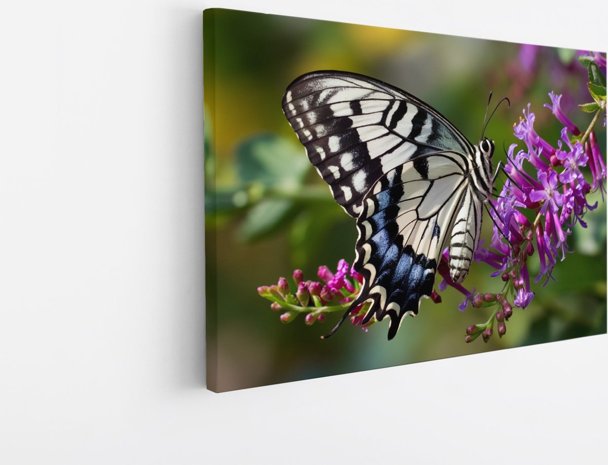 Saammp Canvas Schilderij - Kleurrijke Vlinder - Natuur - Dieren - 90x60 - Foto op canvas - Wanddecoratie - muurdecoratie Woonkamer - Slaapkamer decoratie - Canvas Print Multicolor