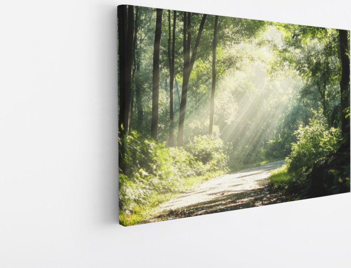 Saammp Canvas Schilderij - Bos - Bomen - Pad - Natuur - Landschap - 100x75 - Foto op canvas - Wanddecoratie - Muurdecoratie Woonkamer - Slaapkamer decoratie - Canvas Print Multicolor