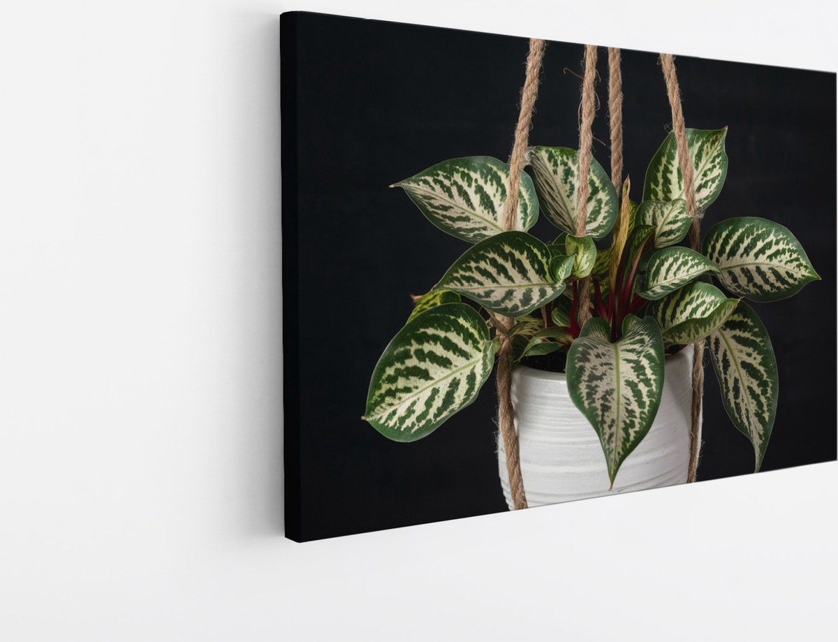 Saammp Canvas Schilderij - Hangplant - Natuur - Abstract - 90x60 - Foto op canvas - Wanddecoratie - Muurdecoratie Woonkamer - Kantoor Decoratie Multicolor