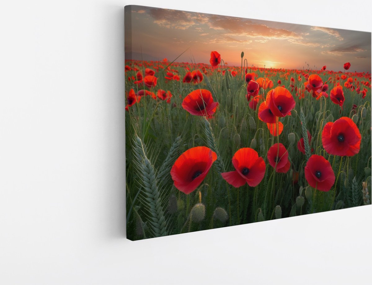 Saammp Canvas Schilderij - Klaprozenveld- Natuur - 40x30 - Foto op canvas - Wanddecoratie - Muurdecoratie Woonkamer - Slaapkamer decoratie - Canvas Print Multicolor