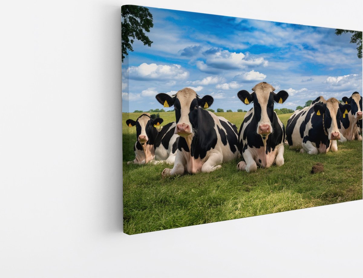 Saammp Canvas Schilderij - Groep koeien - Natuur - Dieren - 40x30 - Foto op canvas - Wanddecoratie - Muurdecoratie Woonkamer - Slaapkamer decoratie - Canvas Print Multicolor