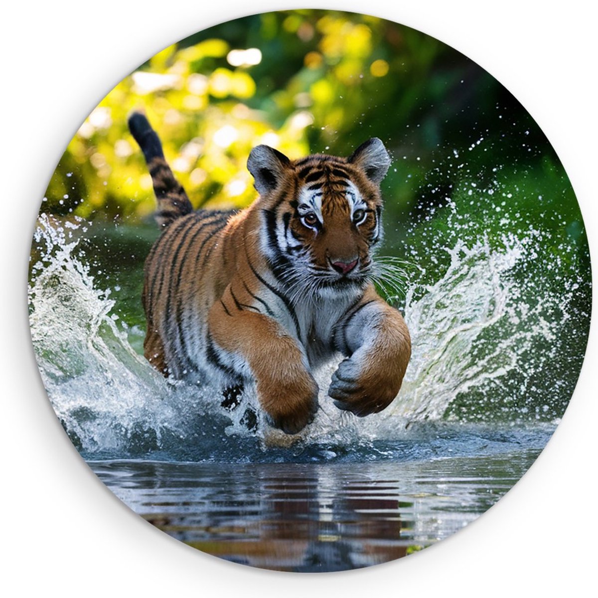 Saammp Muurcirkel Hout - Tijger welp in het water - Natuur - Dieren - Ø 60 - Wandcirkel - Wanddecoratie Cirkel - muurdecoratie Woonkamer - Slaapkamer decoratie - Rond Schilderij