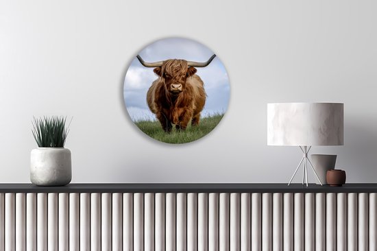 Saammp Cercle Mural Bois - Vache Highlander Écossaise dans le pré - Nature - Animaux - Ø 40 - Cercle Mural - Décoration murale - Décoration murale Murale Salon - Décoration Chambre - Tableau Rond