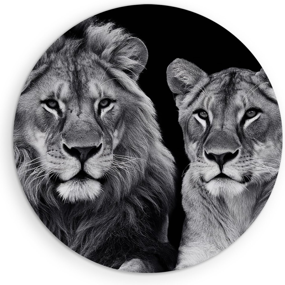 Saammp Forex Muurcirkel - Leeuw en Leeuwin - Zwart-wit - Dieren - Natuur - Ø 40 - Wandcirkel - Wanddecoratie Cirkel - Muurdecoratie Woonkamer - Slaapkamer decoratie - Rond Schilderij