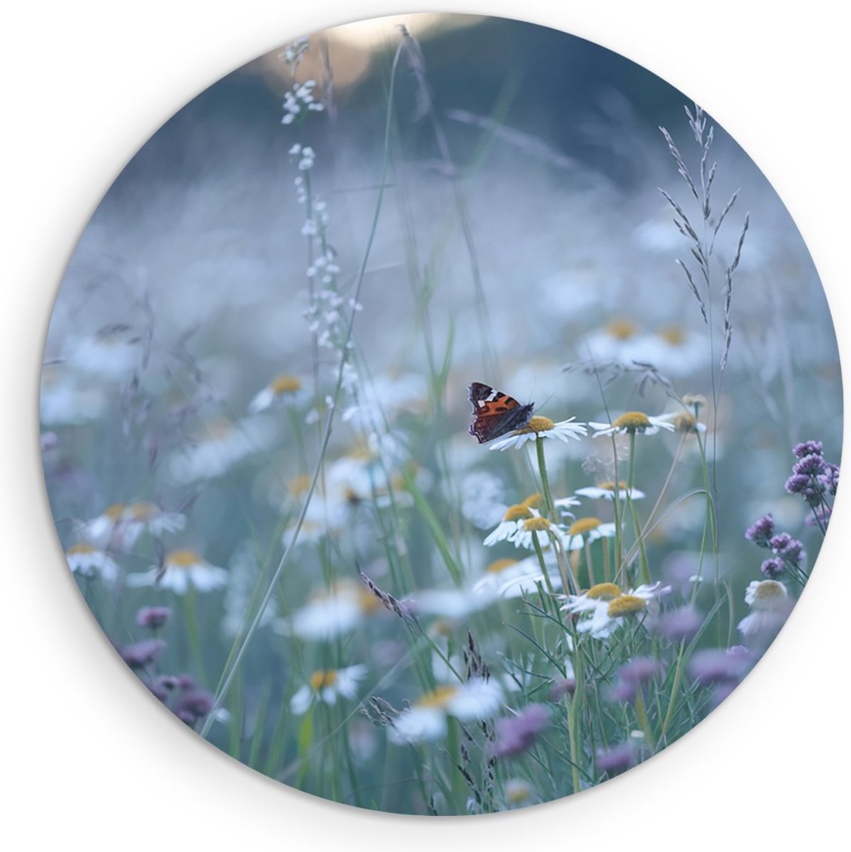 Saammp Forex Muurcirkel - Vlinder in bloemenveld - Dieren - Natuur - Ø 90 - Wandcirkel - Wanddecoratie Cirkel - muurdecoratie Woonkamer - Slaapkamer decoratie - Rond Schilderij
