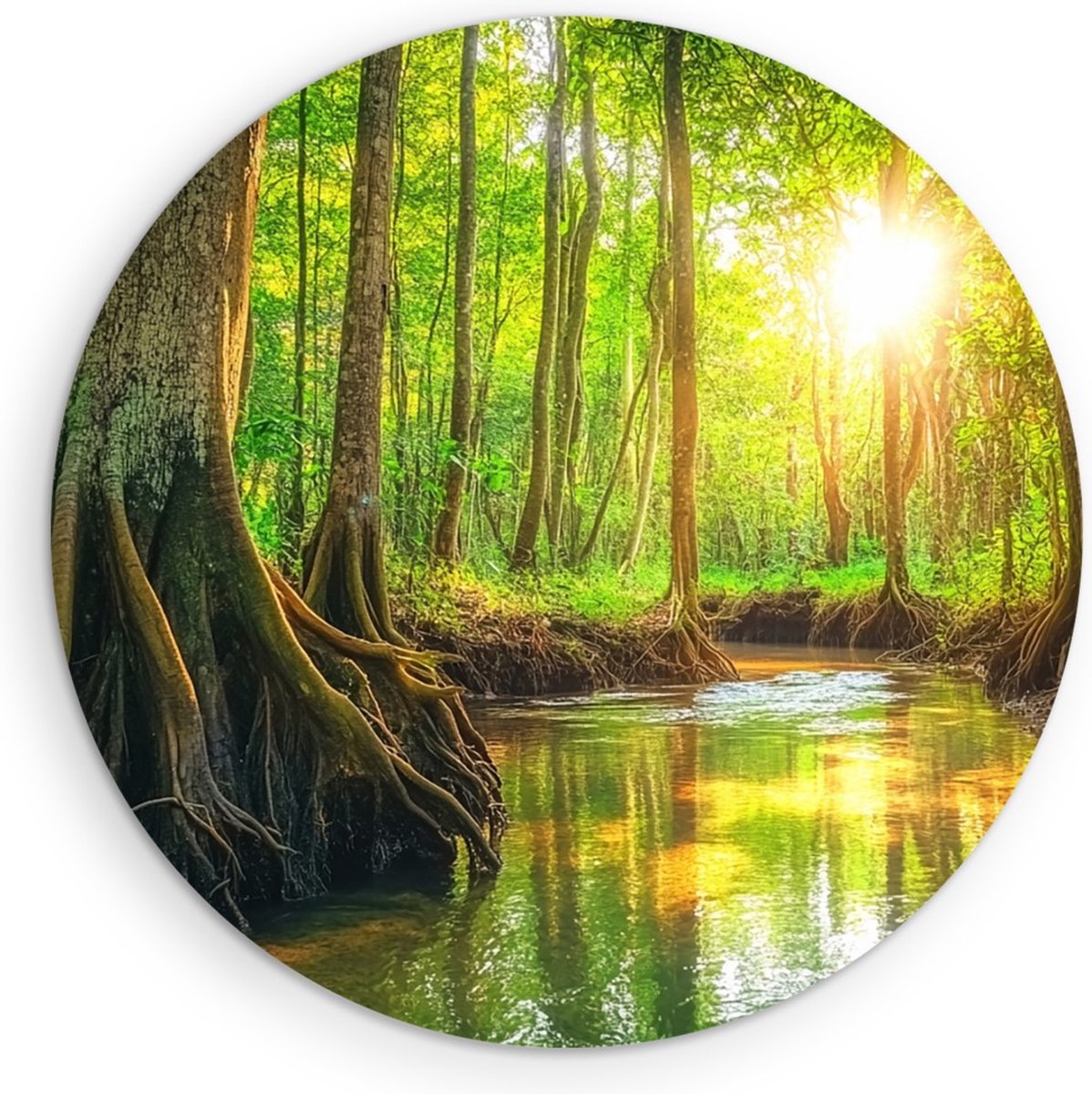 Saammp Muurcirkel Hout - Natuur - Zon tussen de bomen door - Water - landschap - Ø 60 - Wandcirkel - Wanddecoratie Cirkel - Muurdecoratie Woonkamer - Slaapkamer decoratie - Rond Schilderij
