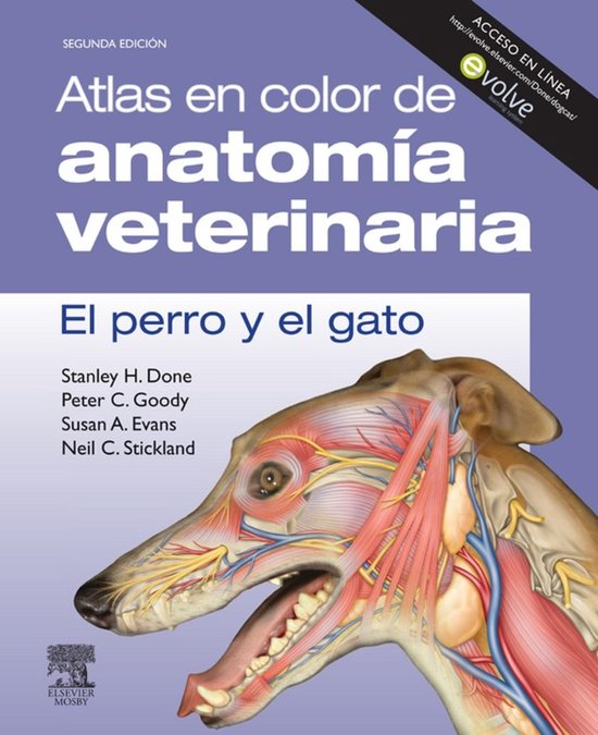 Atlas en color de anatomía veterinaria. El perro y del gato ... - cover